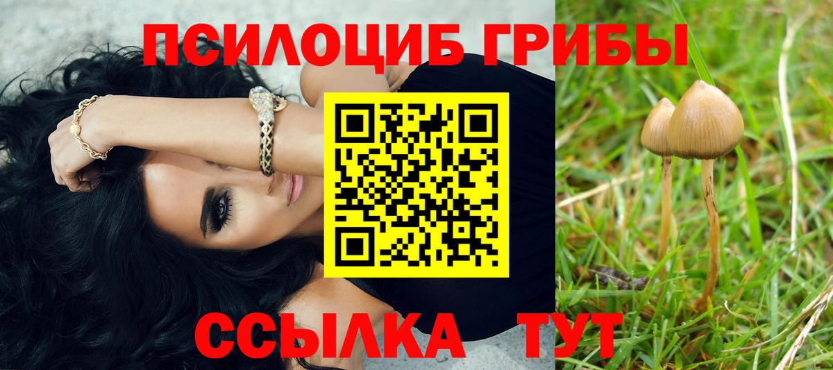 Галлюциногенные грибы ЛСД  Вход с VPN  Шатура 