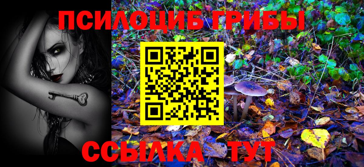 Псилоцибиновые грибы Cubensis Шатура